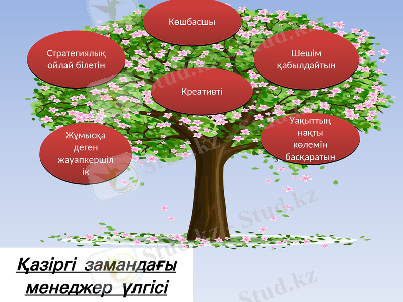 Slide 8