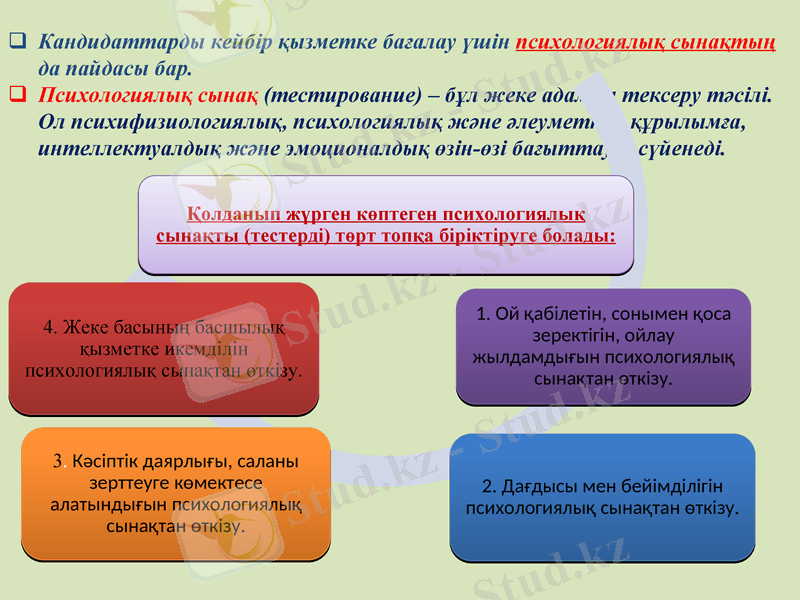 Slide 6