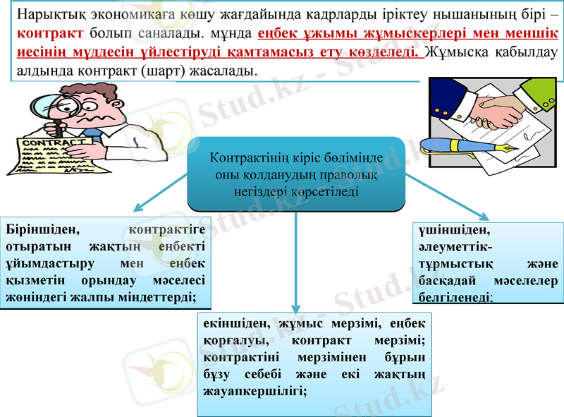 Slide 8