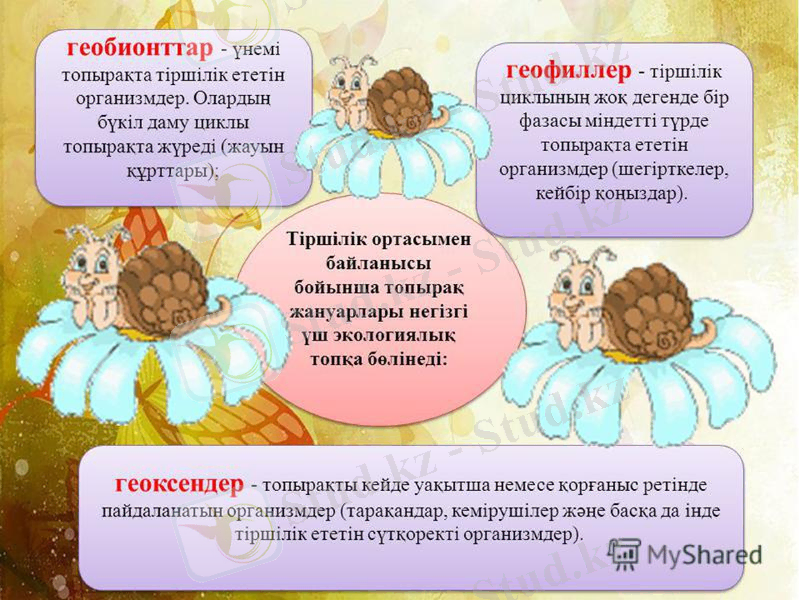 Slide 11