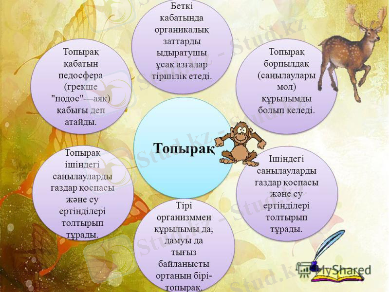 Slide 6