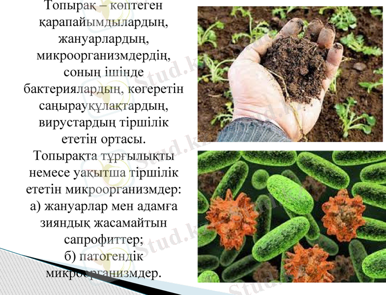 Slide 7