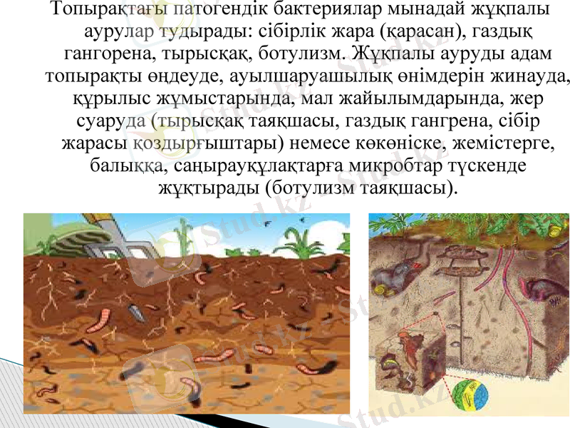 Slide 8