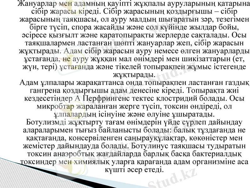 Slide 9