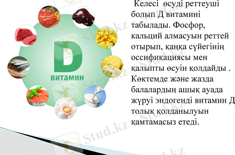 Slide 12