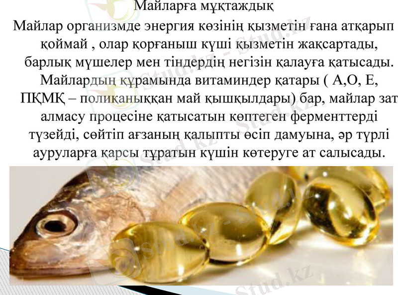 Slide 8