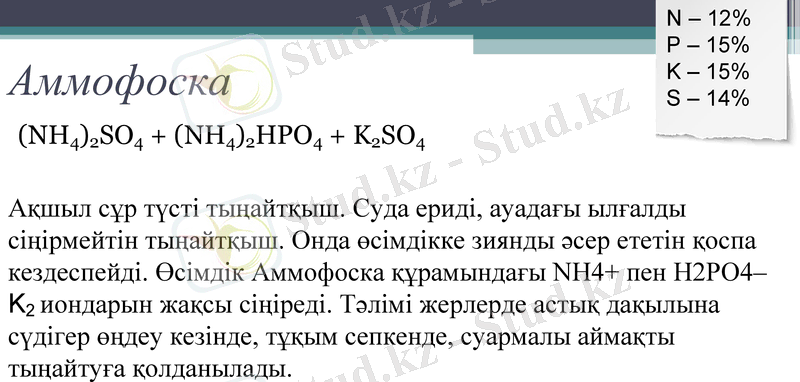 Slide 10