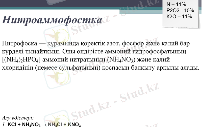 Slide 11
