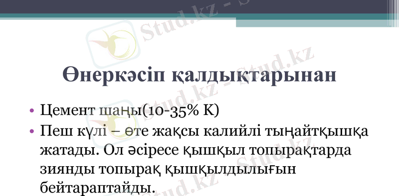Slide 12