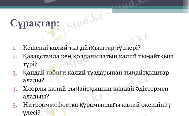 Slide 13
