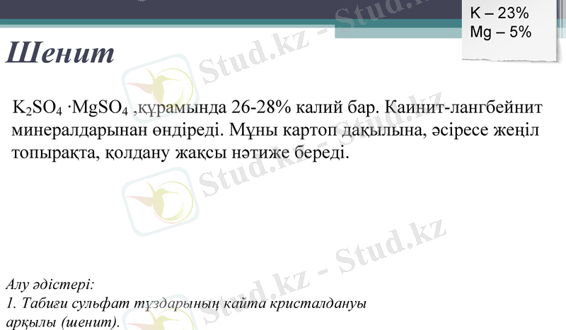 Slide 6