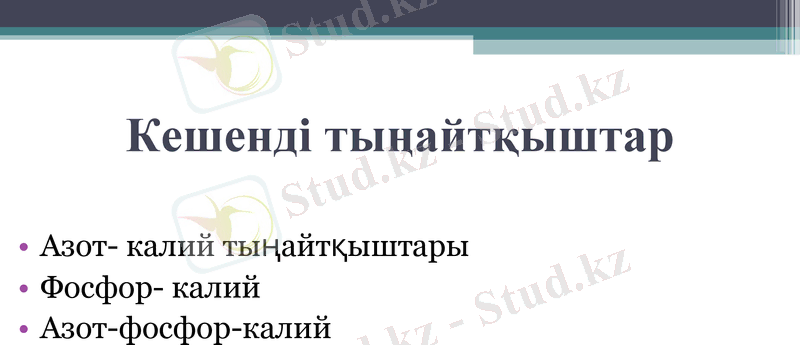 Slide 8