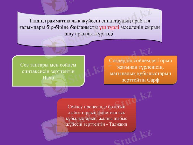 Slide 11