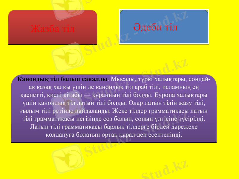 Slide 5