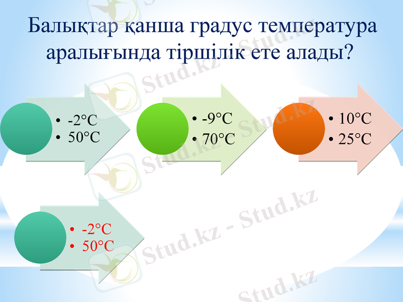 Slide 10