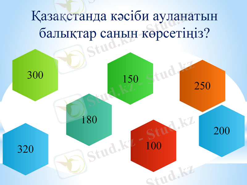 Slide 11
