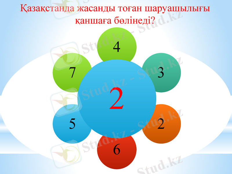 Slide 12