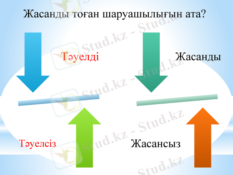 Slide 13