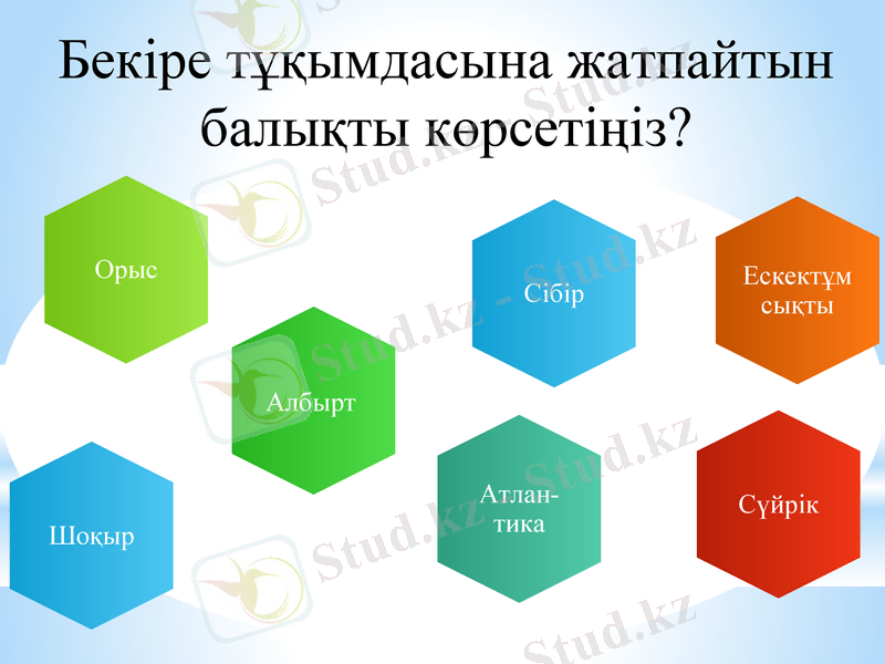 Slide 6