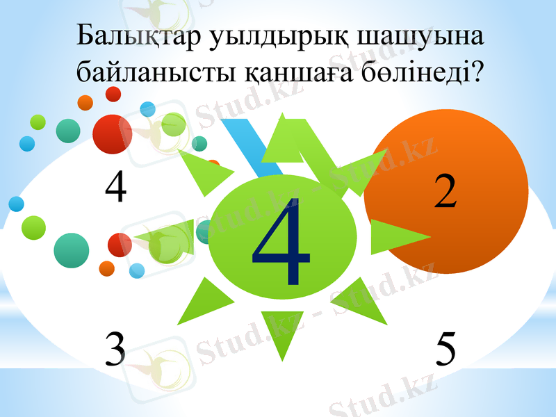 Slide 9