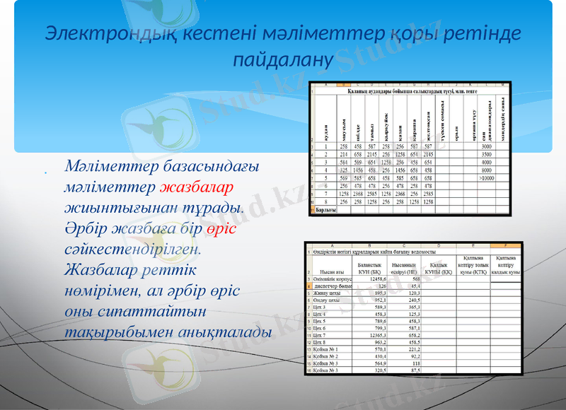 Slide 17