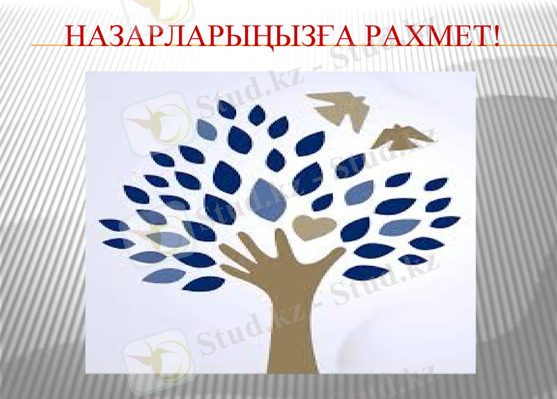 Slide 8