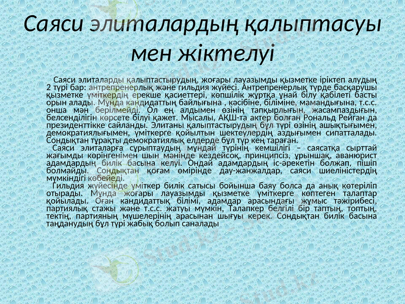 Slide 6