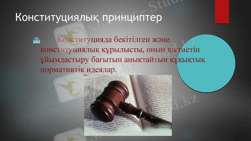Slide 11