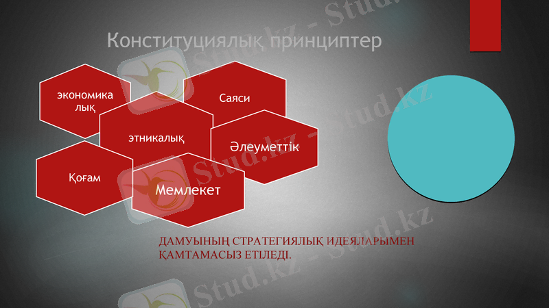 Slide 12