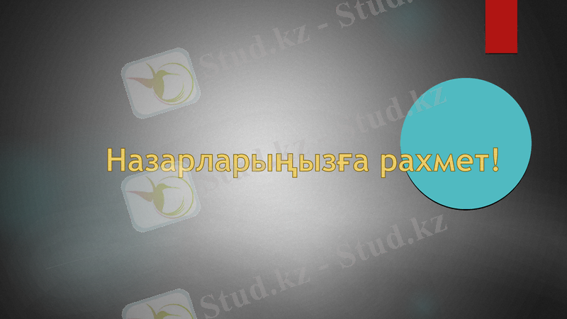 Slide 13