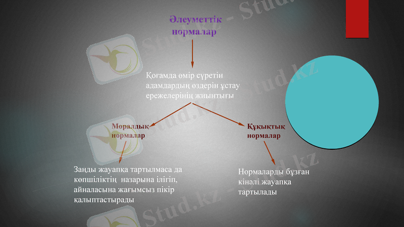 Slide 6