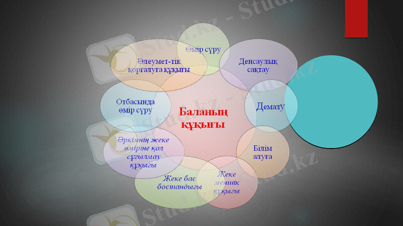 Slide 9