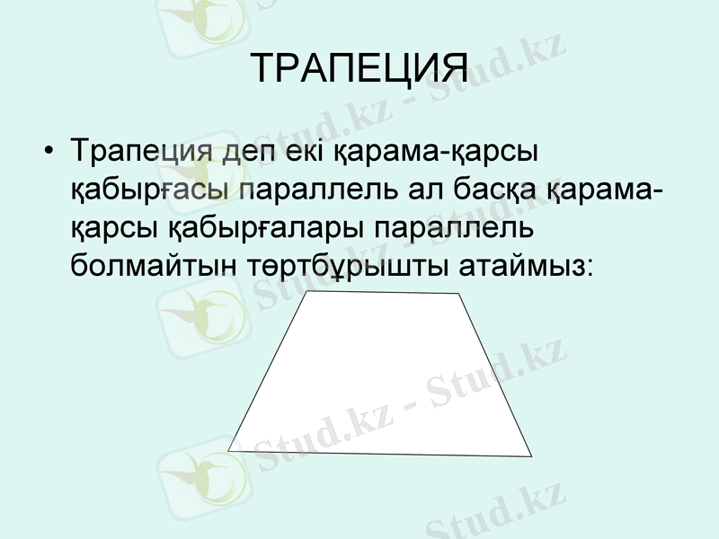 Slide 5