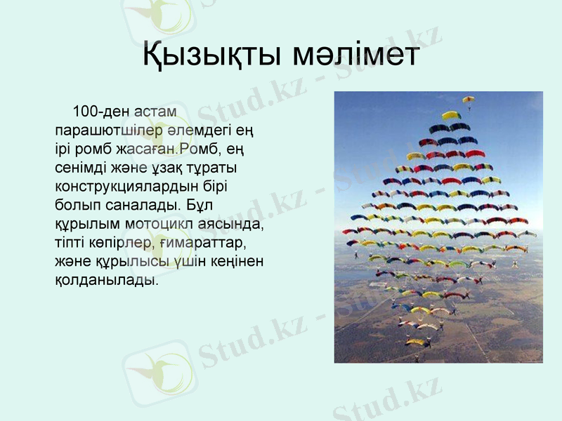 Slide 7