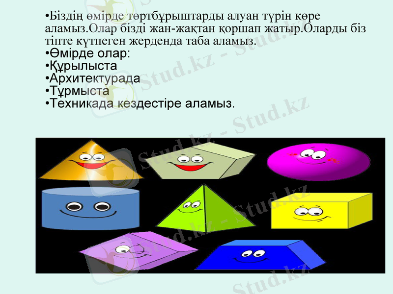 Slide 8