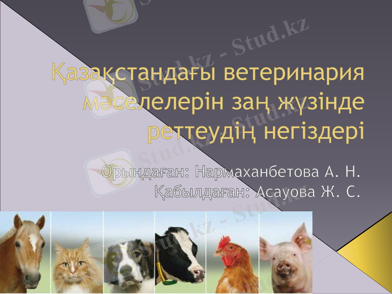 Slide 1