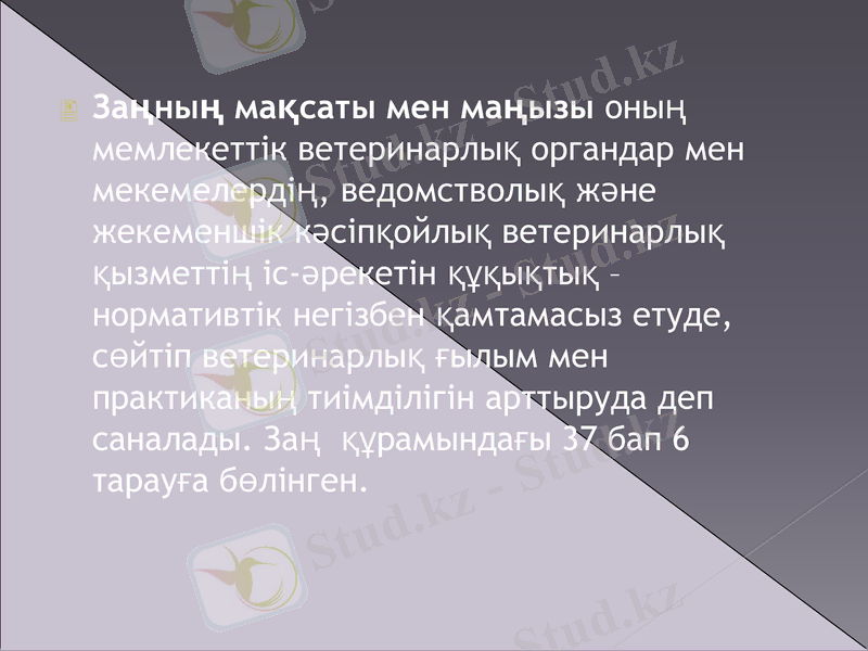 Slide 6