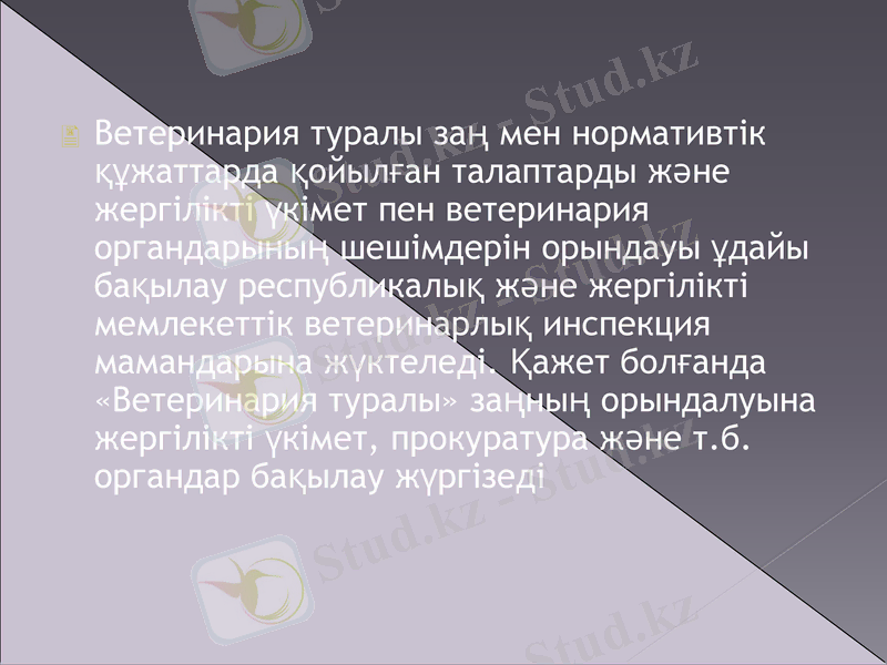 Slide 9