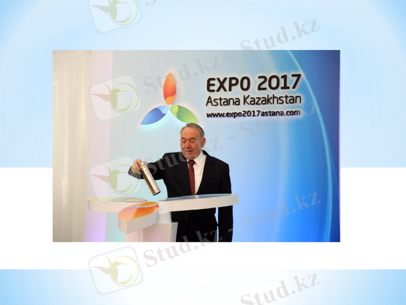 Slide 8