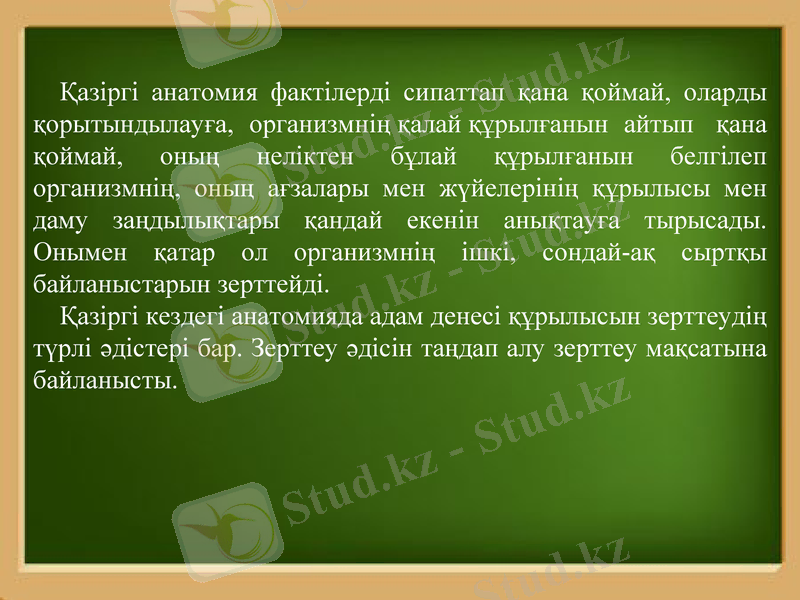 Slide 11