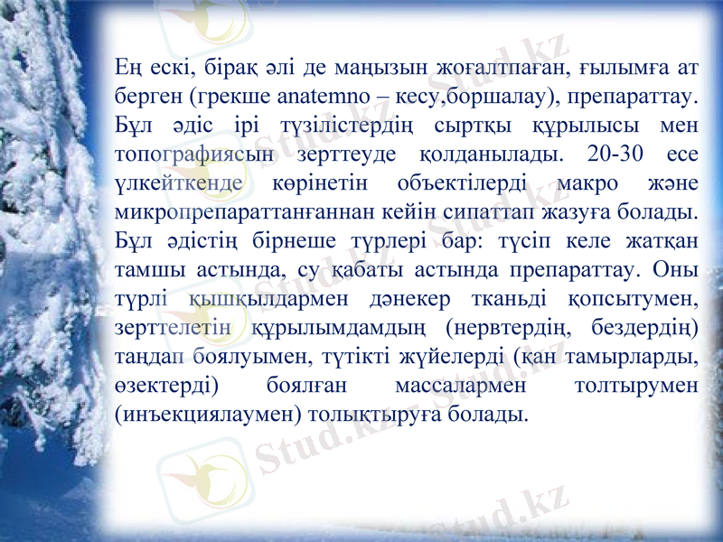 Slide 12