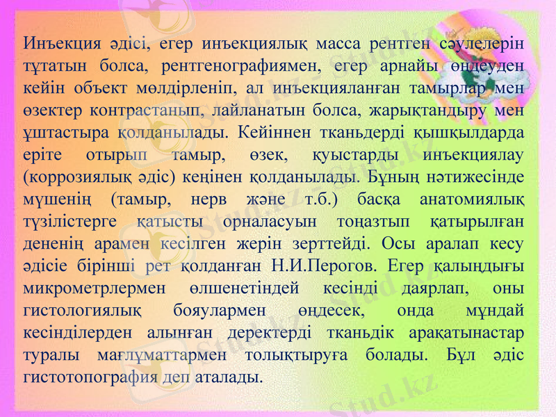 Slide 13