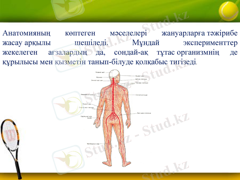 Slide 18