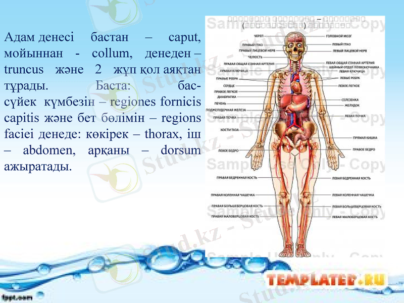 Slide 23