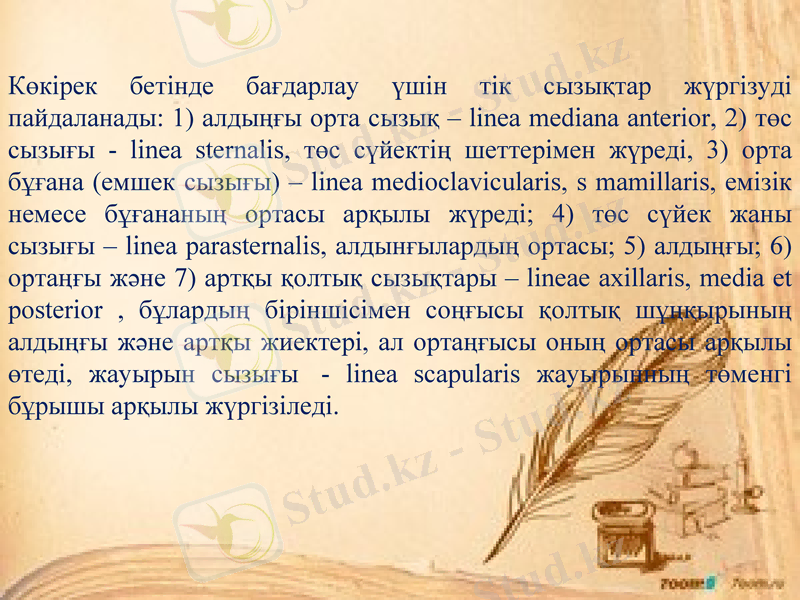 Slide 24