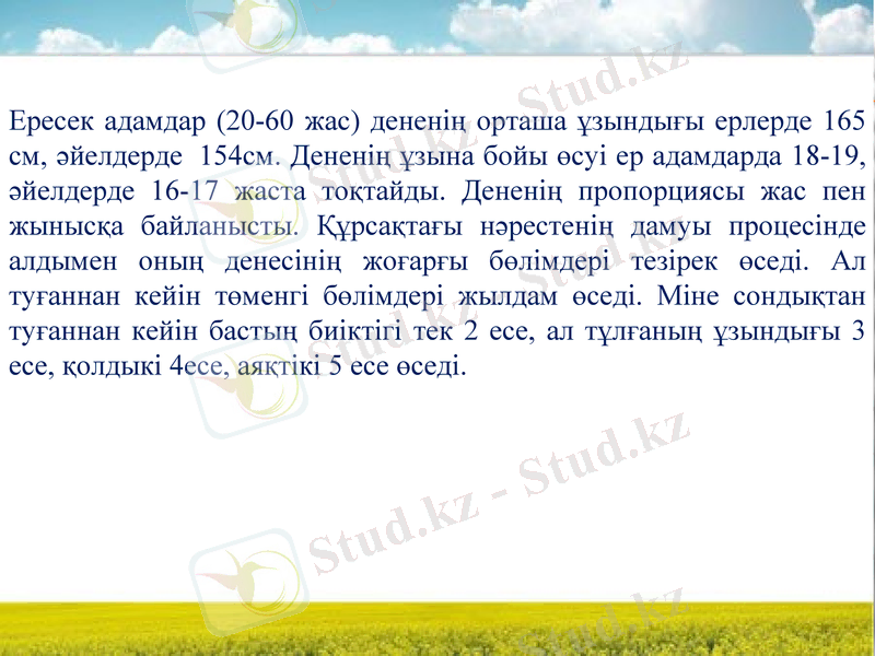 Slide 25