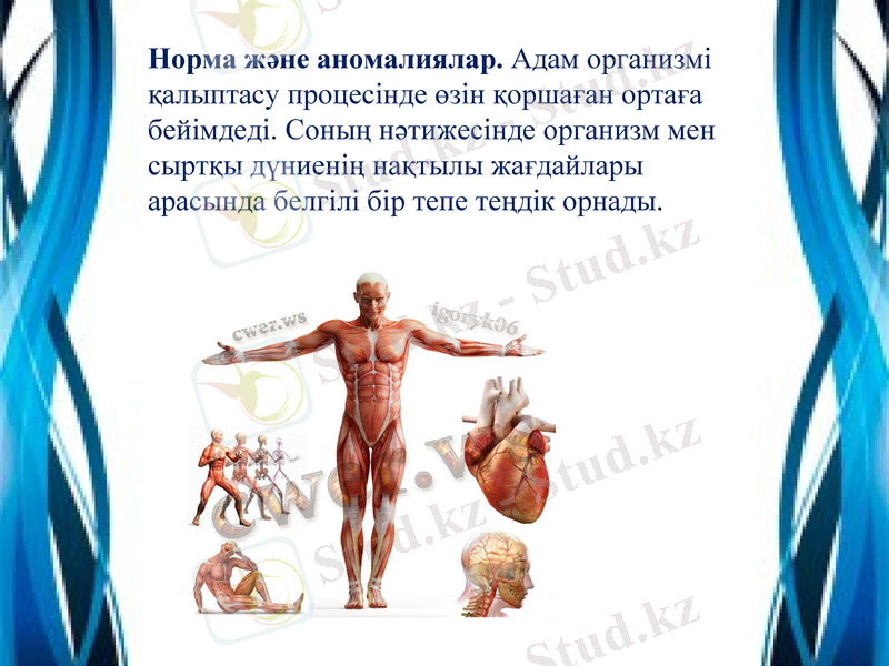 Slide 28
