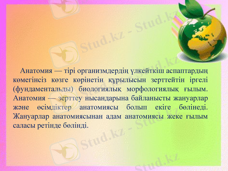 Slide 3