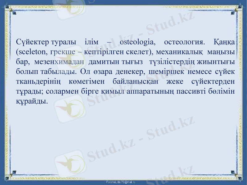 Slide 31