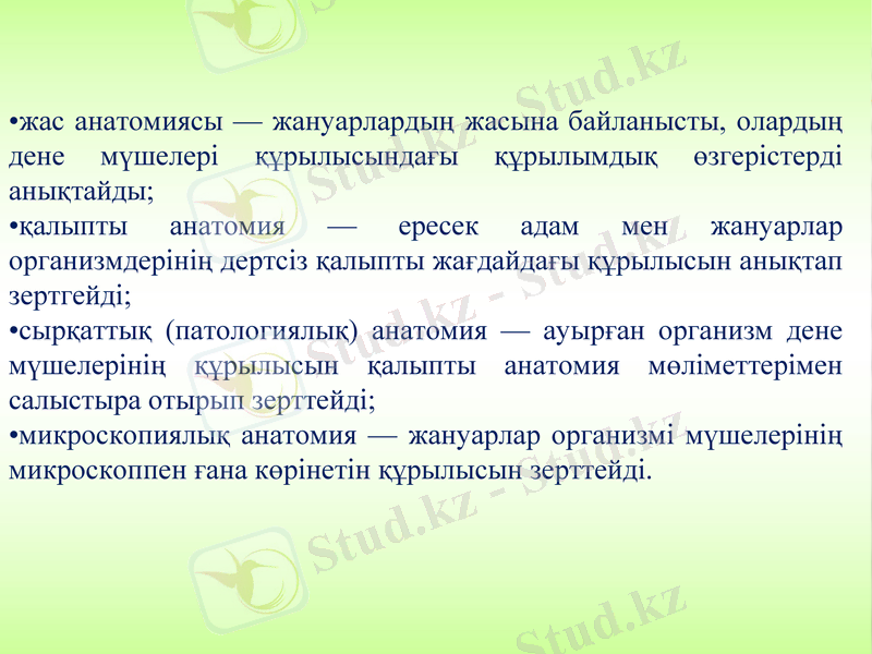 Slide 6